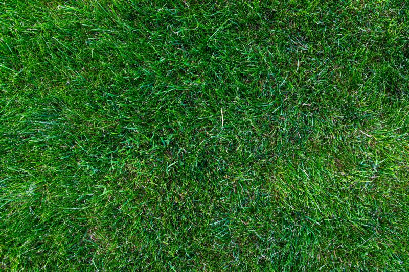 Improved Lawn Health