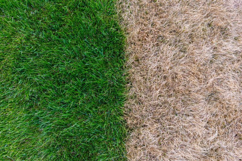 Increased Resistance to Erosion