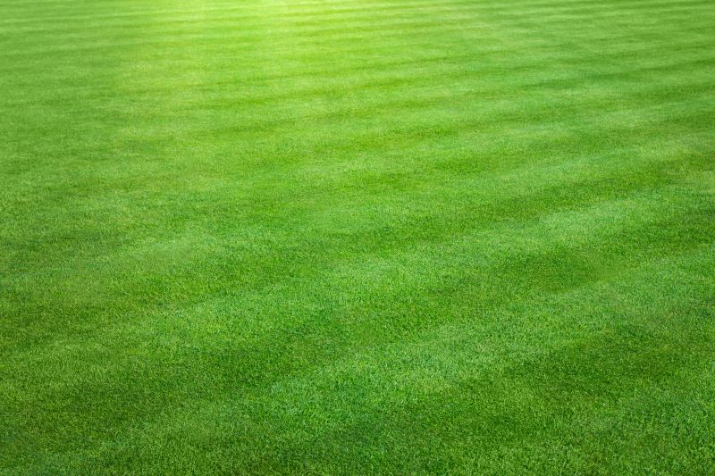 Optimized Soil Quality
