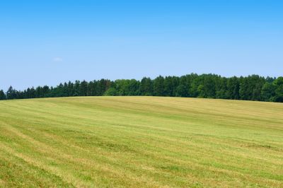Field Mowing Service