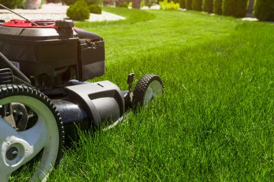 Grass Mowing and Trimming