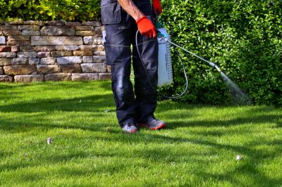 Lawn Fertilizing Services