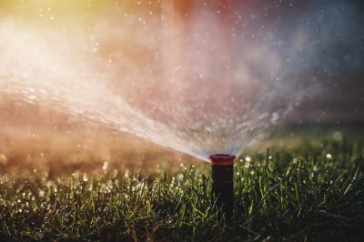 Lawn Irrigation Services