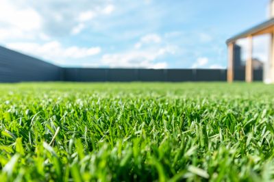 Lawn Restoration