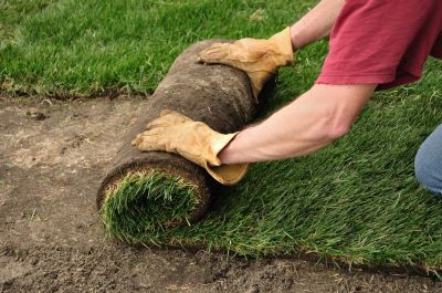 Effective Erosion control