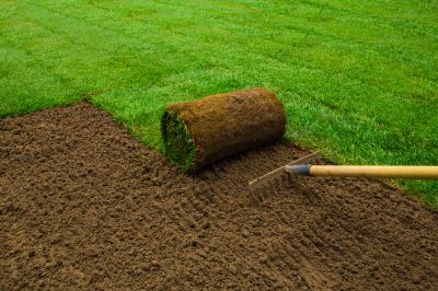 Sod Installation - Sod Installation Palm Coast, Florida