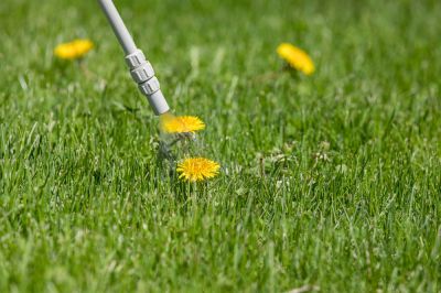 Residential Weed Service