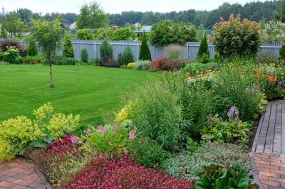 Cultivate a Beautiful Yard!