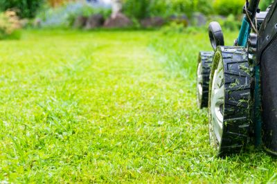 Get Your Lawn Looking Great!