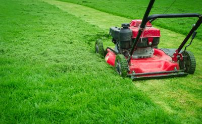 Yard Care Mowing