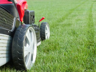 Promote the Healthy Growth of Grass with Grass Cutting!