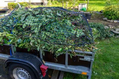Reduced Pest Infestations