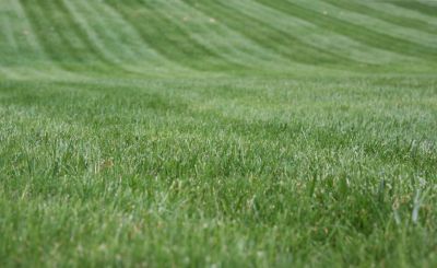 Commercial Mowing