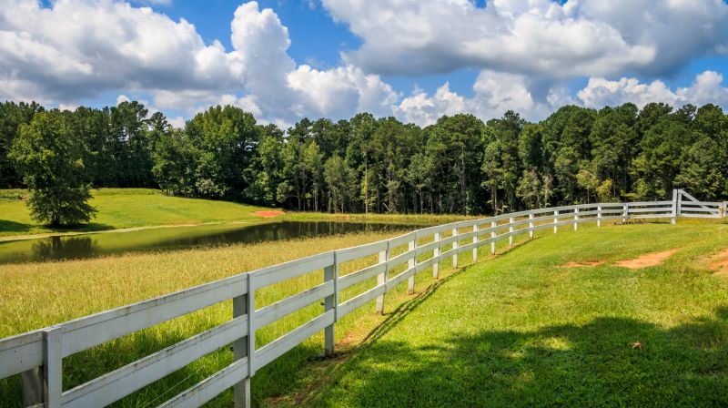 Fence Line Cutting