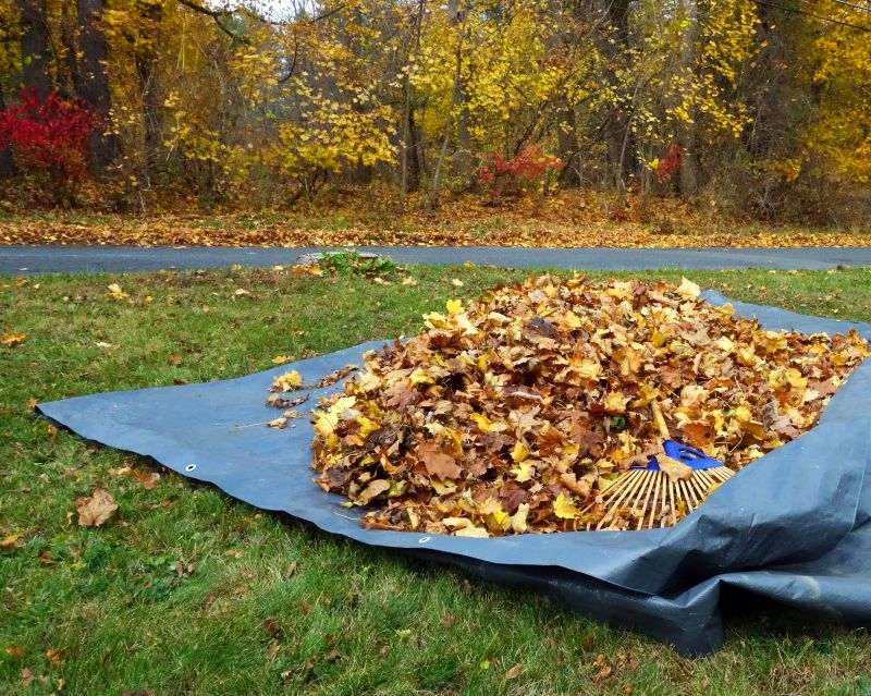 Commercial Leaf Removal