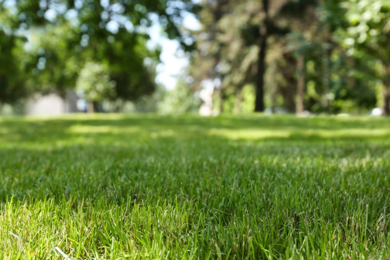 Can Tall Weeds And Small Saplings Be Cut During Professional Mowing?