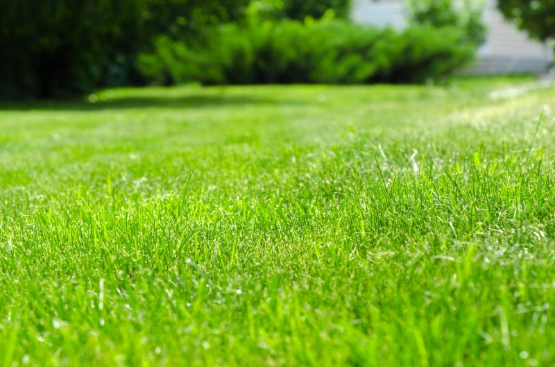 Enhanced Lawn Appearance