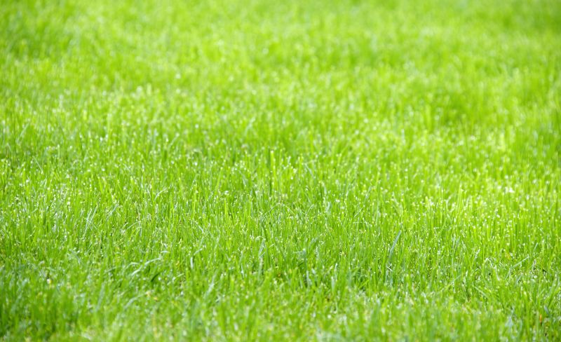Enhanced Weed Suppression