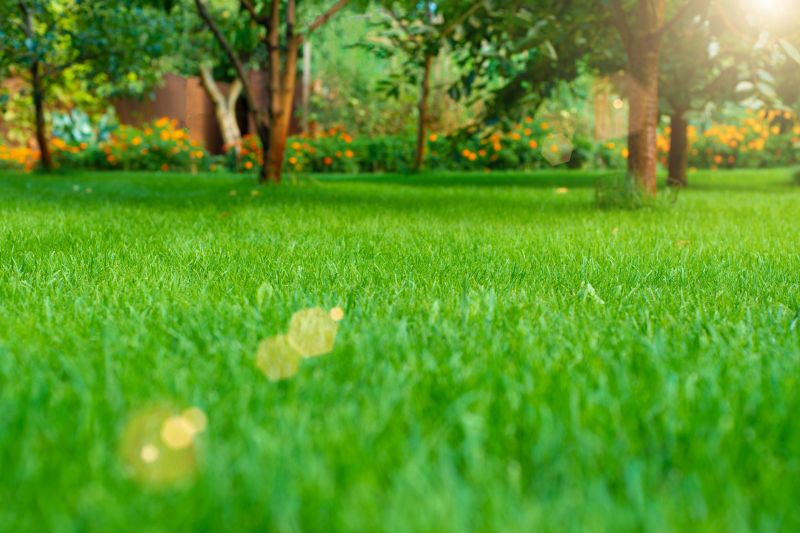 Improved Grass Health