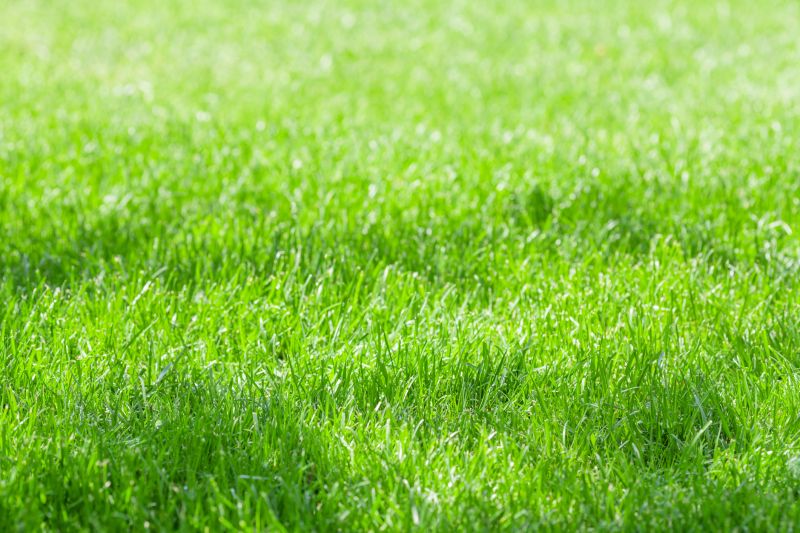 Reduced Soil Erosion
