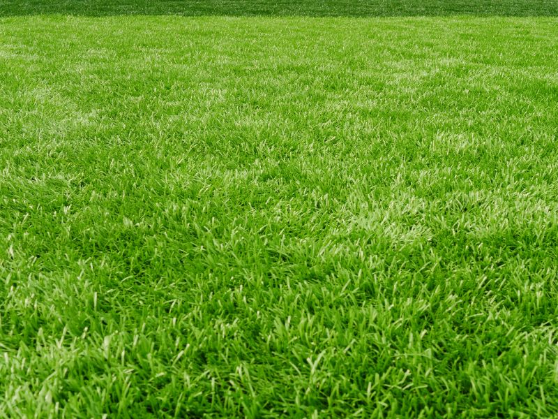 Enhance Property Values By Getting Sod Installed!