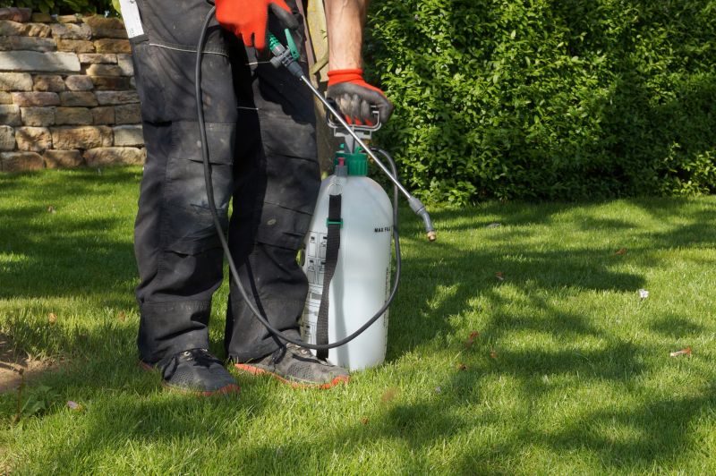 Lawn Weed Control in Honolulu, HI