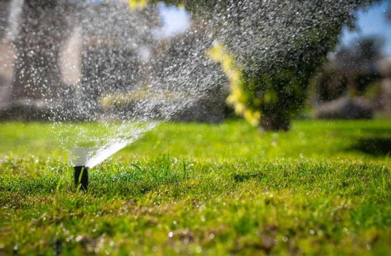 Lawn Sprinkler Installation