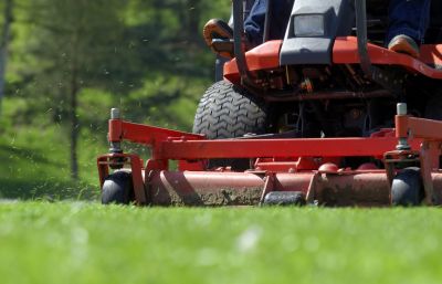 Grass Cutting