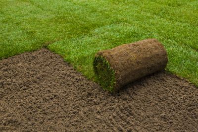 Get Lawn Seeding or Sod Installation with Lawn Restoration!