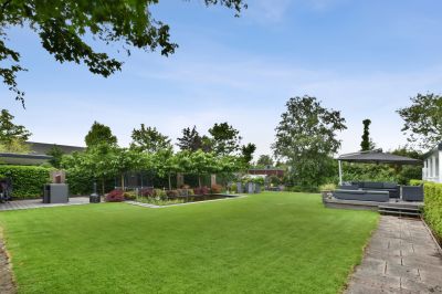 Maintain The Appearance of Your Lawn