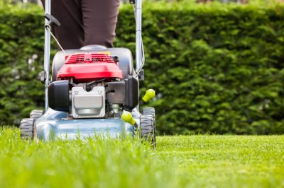 Yard Trimming