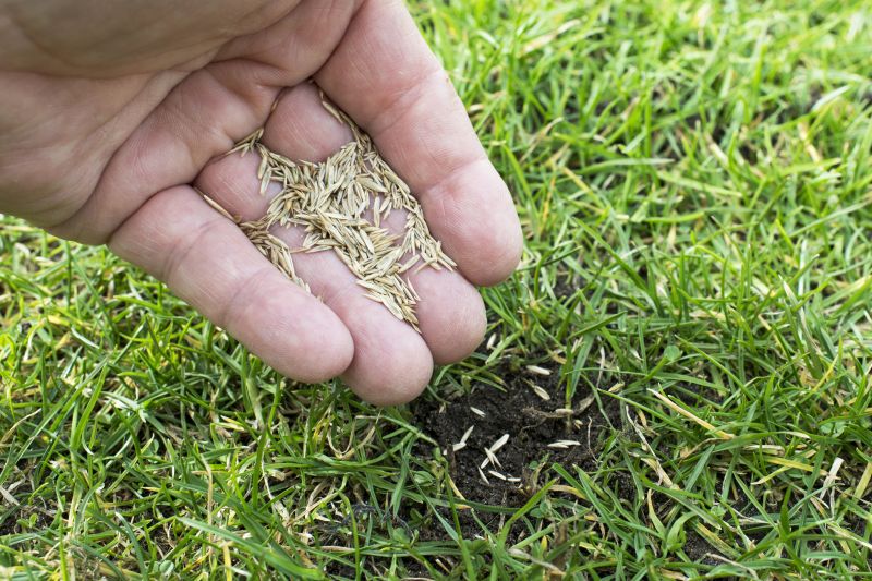 Bermuda Grass Seeding in Honolulu, HI