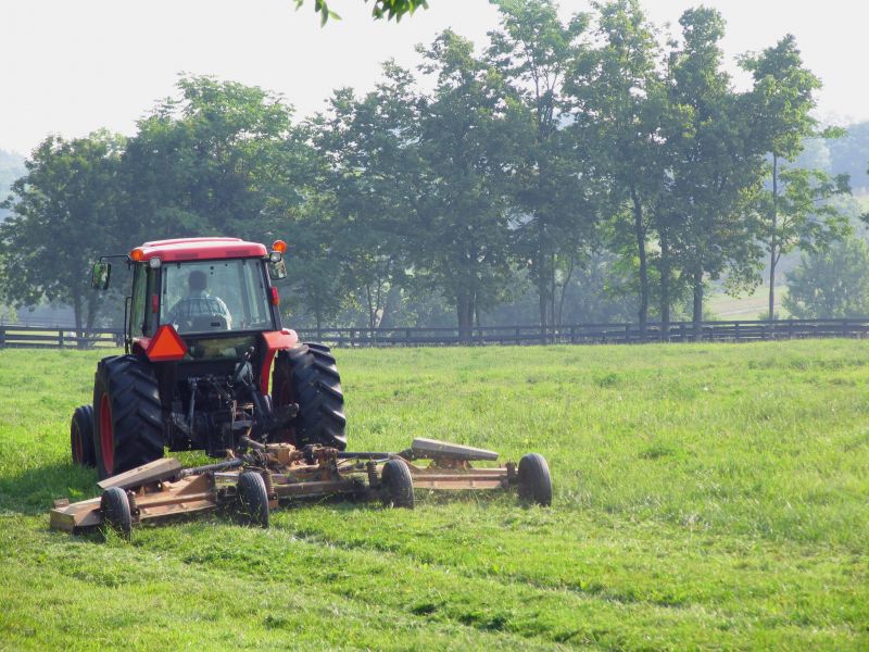 Brush Mowing Service in Prince Georges County, MD