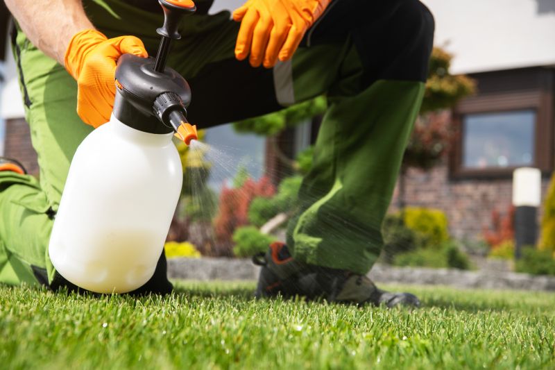 Crabgrass Removal in Rockwall, TX