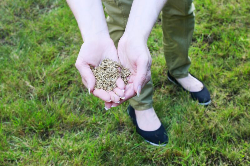 Grass Seed Installation in Honolulu, HI