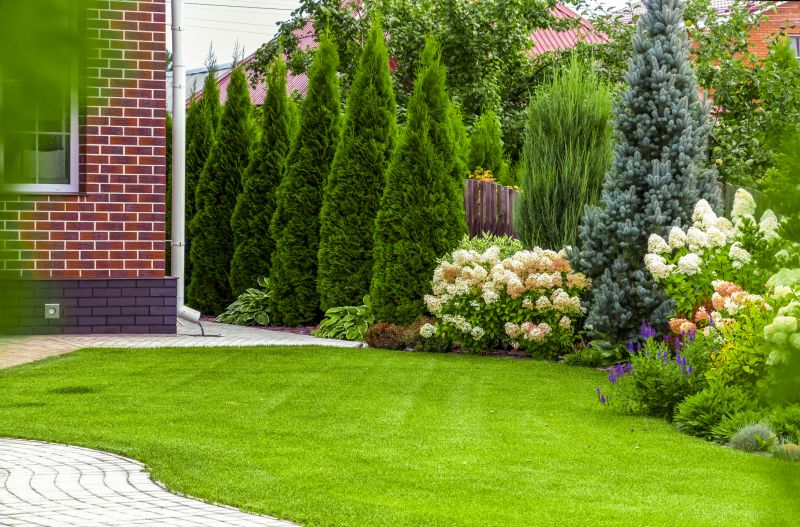 Lawn Enrichment in Ventura County, CA