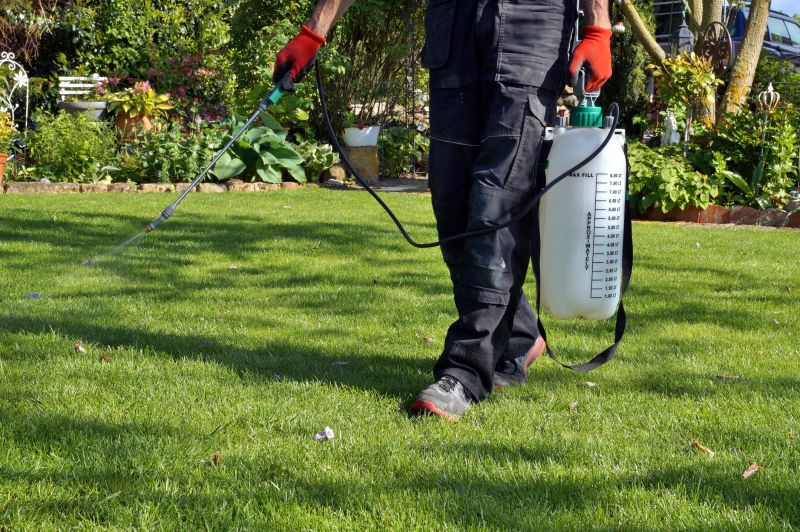 Lawn Herbicide Treatment in Aiken, SC