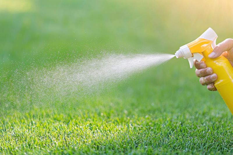 Lawn Spraying in Ventura County, CA
