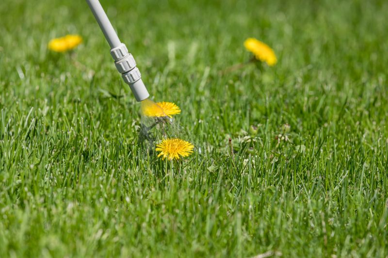 Lawn Spraying in Ventura County, CA