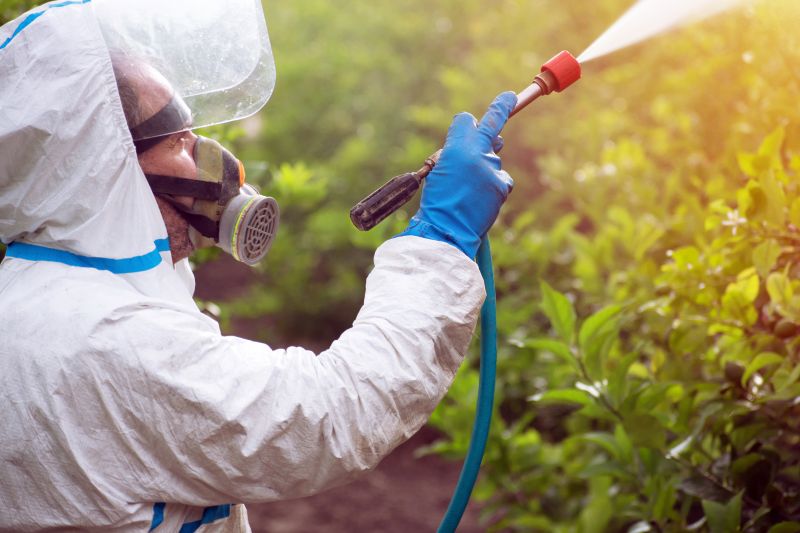 Lawn Weed Control in Aiken, SC