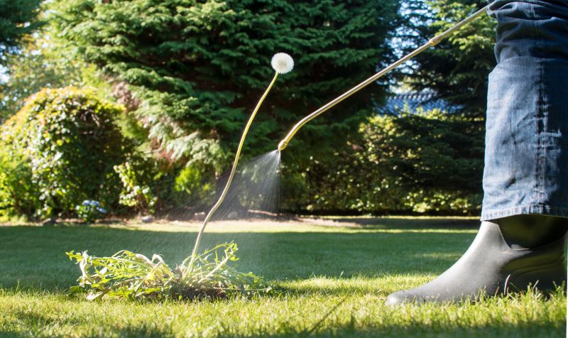Lawn Weed Spraying in Honolulu, HI