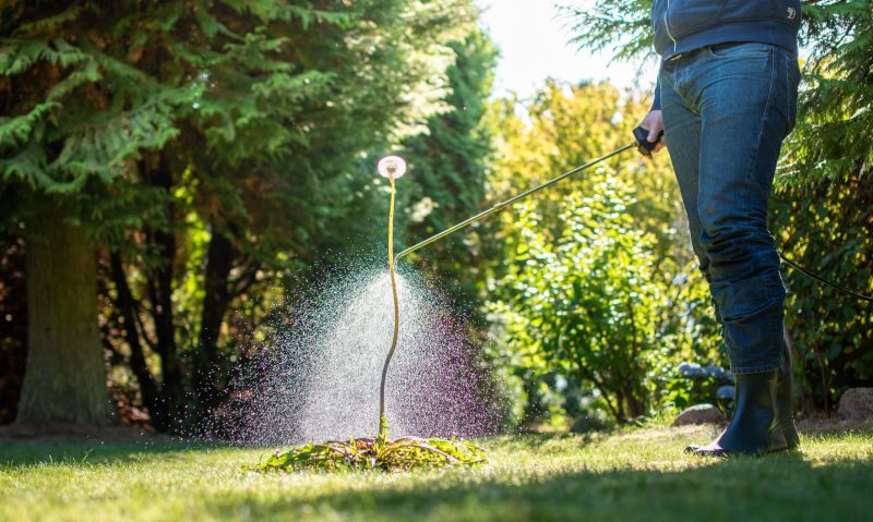 Lawn Weed Spraying in Ventura County, CA