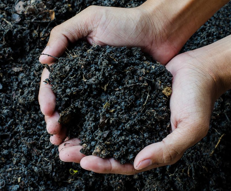 Soil Topdressing in Ventura County, CA