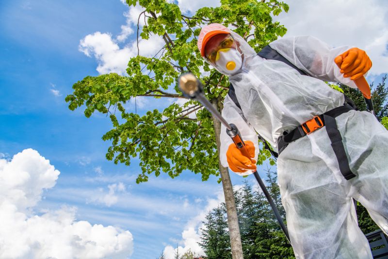 Weed Prevention Service in Aiken, SC