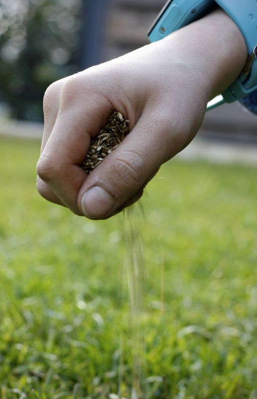 Yard Overseeding in Honolulu, HI