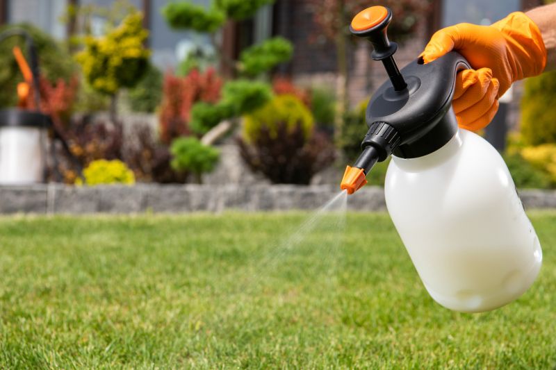 Yard Treatment Service in Ventura County, CA