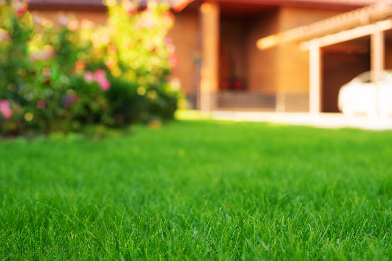 Lawn Repairlawn Repair