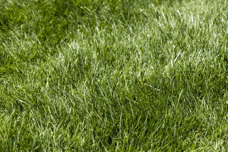 Control Weeds and Pests