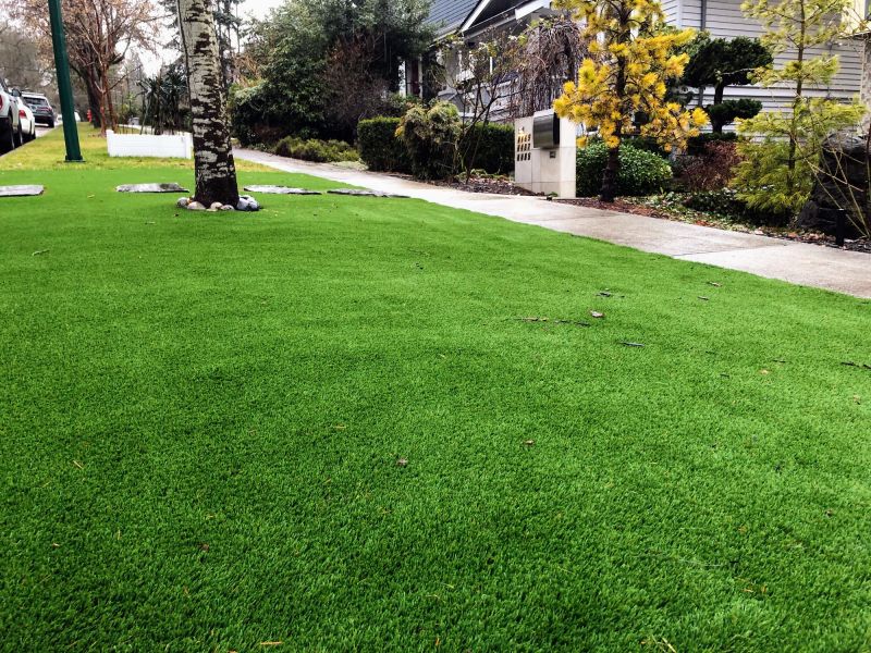 Customize Your Landscaping
