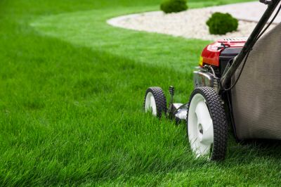 Create a Beautiful Lawn with Regular Grass Cutting Service!